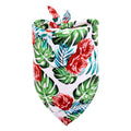 Finn Bandana