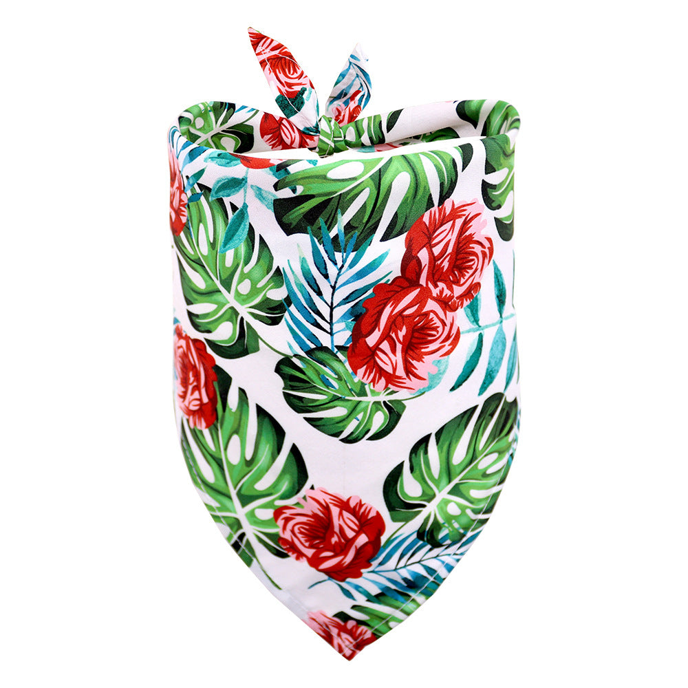 Finn Bandana